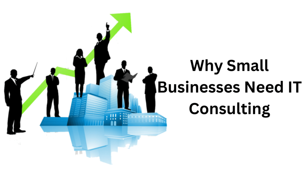 Why Small Businesses Need IT Consulting